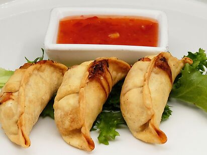 GYOZA FRITTO